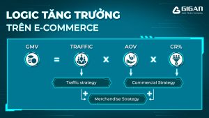 Logic tăng trưởng ecommerce